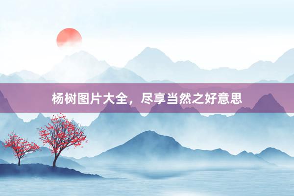 杨树图片大全,尽享当然之好意思